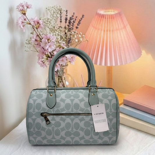 Coach bag with aesthetic background