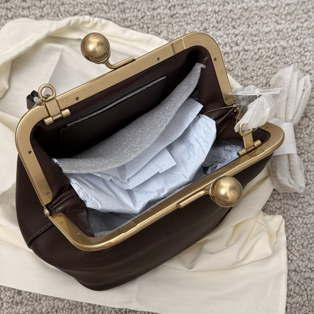 NWT COACH Small Kisslock Frame Bag 16 ~ CCY28