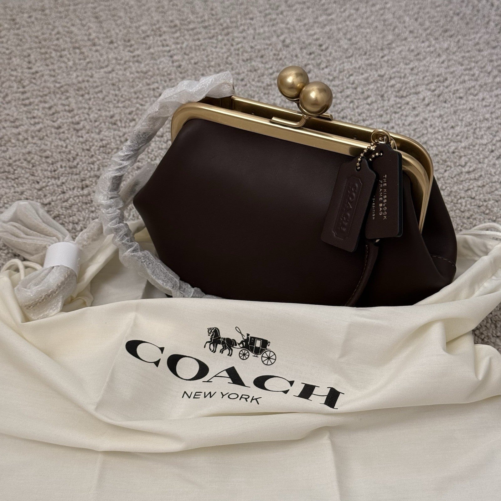 NWT COACH Small Kisslock Frame Bag 16 ~ CCY28