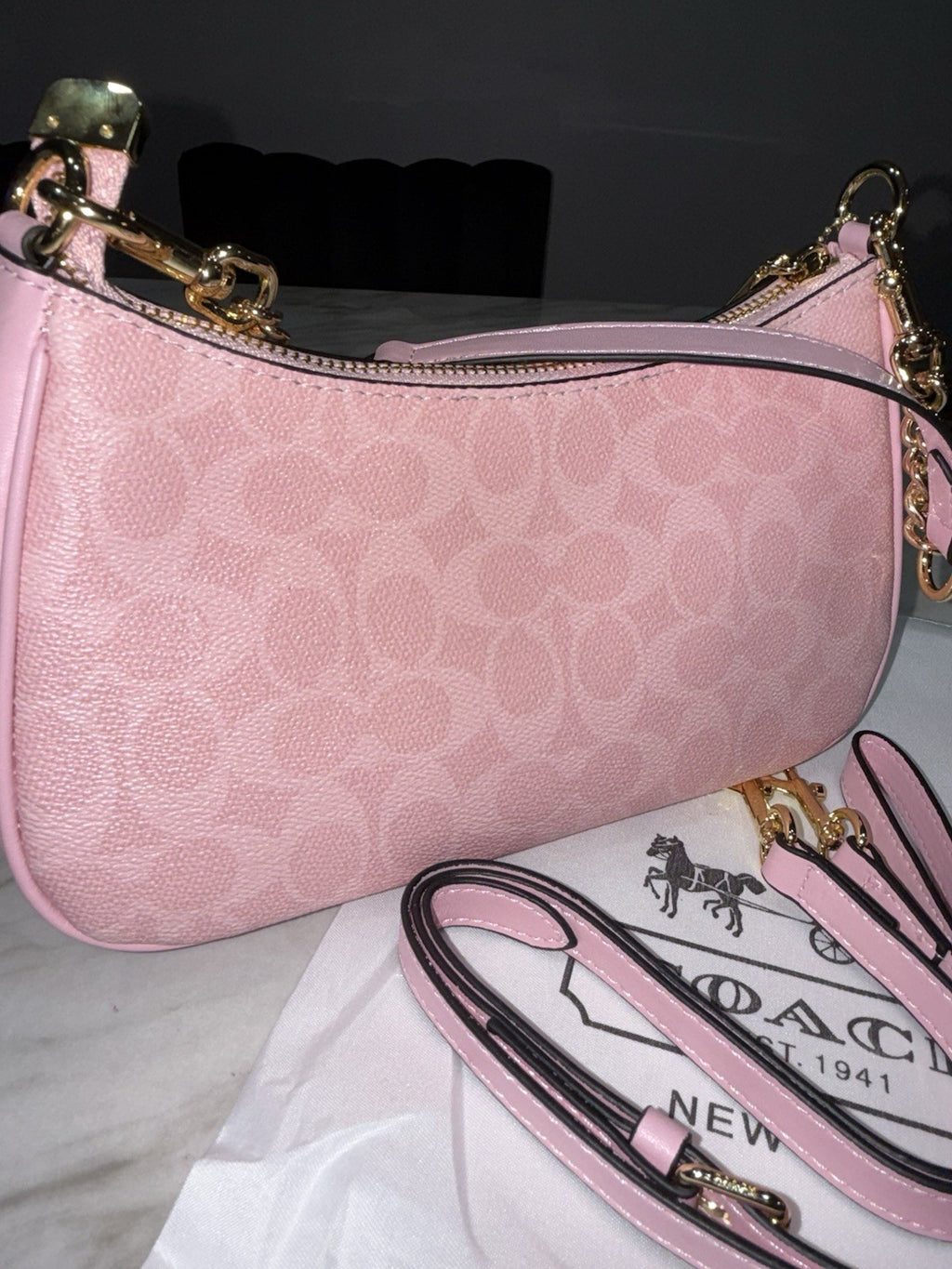 NEW Coach Teri Pink Signature Shoulder Bag Crossbody Purse W/ Strap & Dust Bag✨