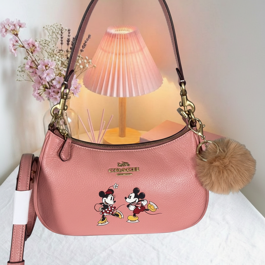 Vivi Carry Coach Disney Bag